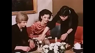 Vintage Danish Coitus Party