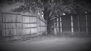 662 nude porn videos